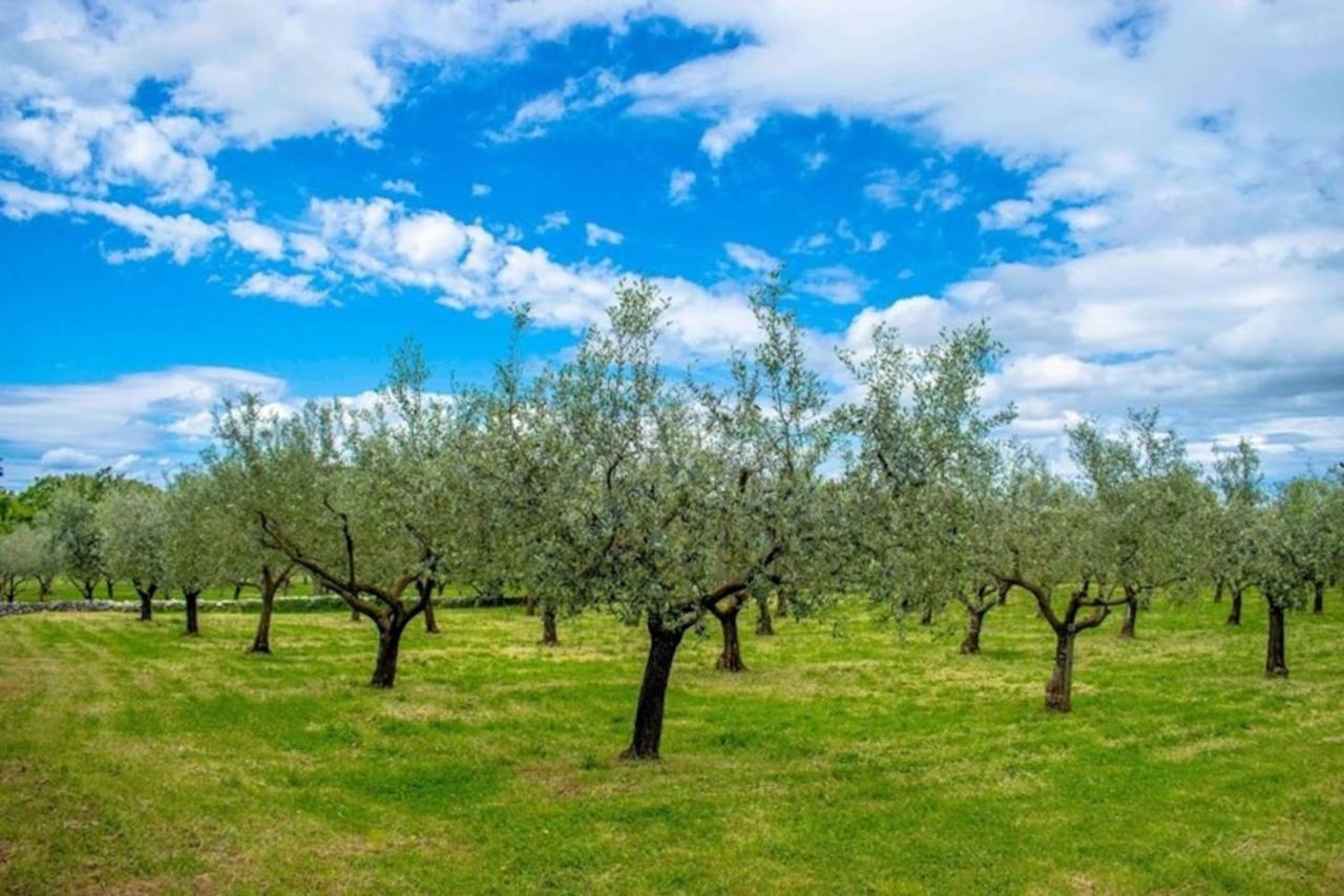 Villa San Polo Max Divšići Zewnętrze zdjęcie
